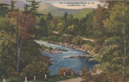 Woodland Stream in the Pocono Mountains Pennsylvania PA Postcard C06 - £2.30 GBP