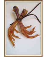 Chicken Foot Magick ASK 4ANY BLESSING 2COME 2u SHAMAN PRIESTESS RITUAL - $49.00