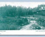 Du Roi Park Port Arthur Ontario Canada 1908 DB Carte Postale H16 - $3.02