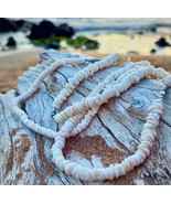 Hawaiian Store Small Puka Shell Choker Necklace (Choose Length) - $42.99+