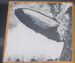 Led Zeppelin - $20.00