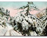Winter Scene Mount Lowe Railroad California CA DB Postcard O19 - £3.74 GBP