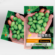 5 Bags 50 Seeds Bag Of Cucamelons Seeds Mexican Sour Gherkins Fresh Seeds - £7.88 GBP