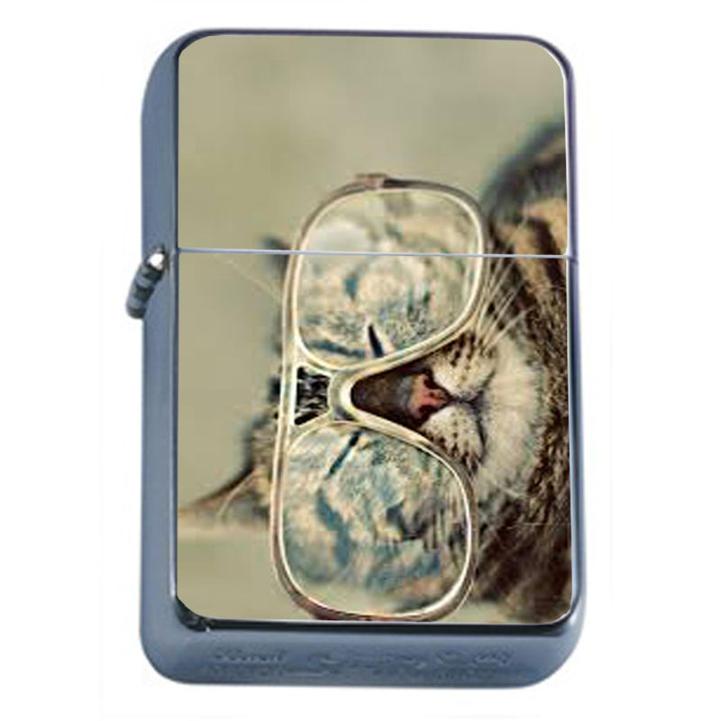 Windproof Refillable Flip Top Oil Lighter Funny Cat D6 Silly Kitten Cute