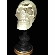 Cute little scary skeleton head - £11.83 GBP