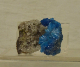 #3105 Cavansite on matrix with Natrolite- India  - £63.02 GBP