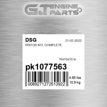 PK1077563 Piston Kit, Complete Fits Dsg (New Aftermarket) - $171.88