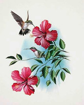 Ruby Throated Hummingbird Cross Stitch Pattern***LOOK*** - $2.95