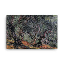 Claude Monet Olive Trees in Bordigher, 1884 Canvas Print - $99.00+
