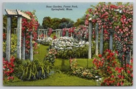 Rose Garden Forest Park Springfield MA Postcard W27 - £5.44 GBP