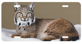 Lynx Bobcat Lying Down License Plate 6 X 12 Inches Aluminum New - £11.02 GBP