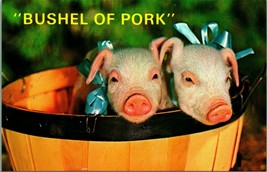 Bushel Of Pork Piglet Pigs Dressed Up No Place to Go Chrome Postcard Unused - £2.31 GBP