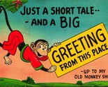 Comic Monkey Just a Short Tale And a Big Greeting Linen Postcard E8 - £5.41 GBP