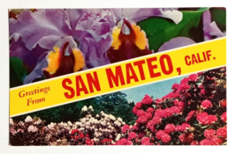 Greetings from San Mateo CA Flowers Split View Mike Roberts UNP Postcard c1960s - £8.03 GBP