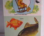 1978 Walt Disney&#39;s Fun &amp; Facts Flashcard DFF12-15: Carp &amp; Goldfish - $2.00