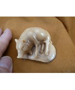 tb-pig-8 little tan pig laying down Tagua NUT palm figurine Bali Piglet ... - $781.75 MXN