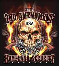2ND AMENDMENT USA HOMELAND SECURITY LG TEE SHIRT skull gun control pisto... - $9.49