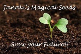 $Super Charged Wealth Seeds~Grow Your Own Magical Plant Voodoo Power Authentic$ - $39.99