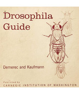 1972 Drosophila Guide Fruit Flies Insects Entomology PB Illustrated Vint... - $570.01 MXN