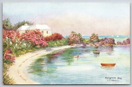 Spiaggia Vista Mangrove Bay Bermuda Artista Firmato C F Tucker Unp DB Cartolina - £3.81 GBP