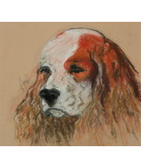 Cocker Spaniel Pastel Drawing Dog Art Solomon - Idle Thought - £140.73 GBP