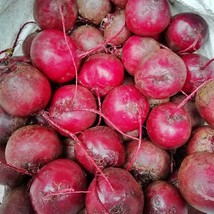 USA Seller Detroit Dark Red Beets Early Variety Gardening Vegetable Fast... - $18.26