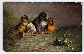 Easter Postcard Baby Chicks Look At Large Grasshopper Insect 1908 Germany HKM - £23.25 GBP
