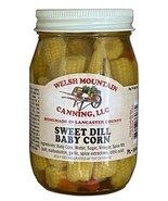 SWEET DILL BABY CORN - Amish Handmade Sweetcorn in Sweet Kosher Dill Bri... - £7.98 GBP+