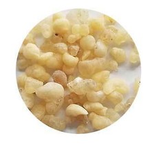 Frankincense Siftings Incense 1/3oz - £16.81 GBP