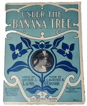 Under the Banana Tree c 1904 G.W. Setchell Publisher Antique Sheet Music - £4.47 GBP