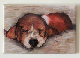 Basset Hound Puppy Dog Art Magnet Solomon - $6.50