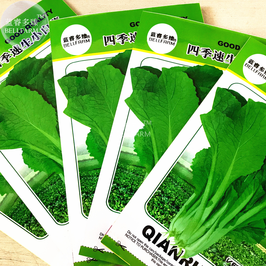 Green Chinese Vegetables Seeds 5 Packs 2000 Seeds/Pack Little Cabbage Bok Choy P