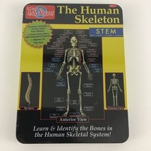 T.S. Shure Magnetic Learning Activity The Human Skeleton Tin Play Case Bone Name - £22.25 GBP