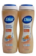 2X Dial Silk &amp; Seaberry Moisturizing Body Wash 21 Oz. Each - £14.92 GBP