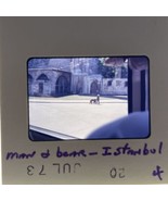 35mm Slide Man Walking A Bear Istanbul Turkey 1973 - $304.94 MXN