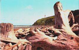 Postcard Washington Benson Beach Fort Canby State Park Free Driftwood 5.5 x 3.5&quot; - £3.95 GBP