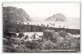 Louis D&#39;Or Estate Birds Eye View Tobago BWI Miller&#39;s Stores UNP UDB Postcard P18 - £26.86 GBP