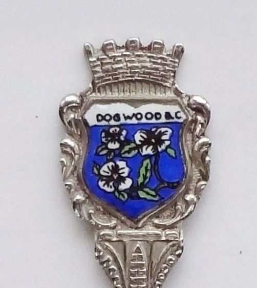Collector Souvenir Spoon Canada BC Kamloops Dogwood Single Flatware