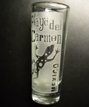 Playa Del Carmen Mexico Shot Glass Tall Style Raised Frosted Panel and Lizard - £6.31 GBP