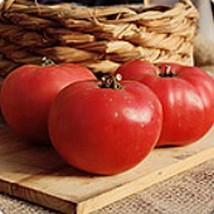 PM Rose de Berne Tomato Seeds (25+ Seeds) - £3.54 GBP