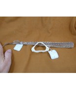 (sj83-25) 2-1/2" CUCKOO RAY jaw + tail piece Raja fleurie jaws t**th sci... - $2,685.13 MXN (sj83-25) 2-1/2" CUCKOO RAY jaw + tail piece Raja fleurie jaws t**th sci... - $2,685.13 MXN