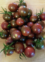 15 Pc Seeds Chocolate Cherry Tomato Vegetable Plant, Tomato Seeds for Planting  - £11.56 GBP
