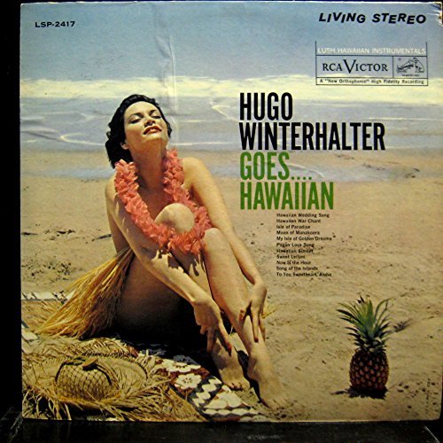 HUGO WINTERHALTER GOES HAWAIIAN vinyl record [Vinyl] Hugo Winterhalter - $1.68