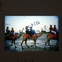 Camel Convoy Sandy Beach Ride VTG 35mm Found Slide Photo - £7.82 GBP