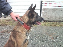 2in LEATHER COLLAR k9 SCHUTZHUND WITH HANDLE LOOK CUSTOM MADE SIZE COLOR... - $39.51