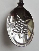 Collector Souvenir Spoon USA Washington Western Rhododendron Map - £6.25 GBP