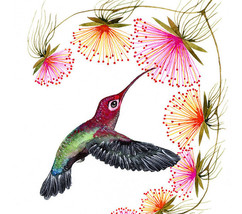 Colorful Humming Bird Cross Stitch Pattern***L@@K*** - $2.95
