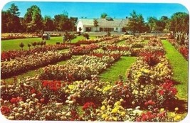 Newark New York Postcard Jackson &amp; Perkins Rose Gardens June Rose Festival - £1.68 GBP