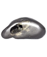 Laxmi Bhu Varaha Shaligram - Gandaki River Nepal - €168,91 EUR