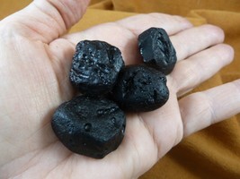 (x-361) set of 4 small Tektites TEKTITE from Impact 700,000 years ago sp... - $225.36 MXN